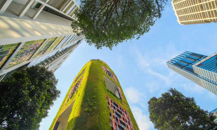 Développement durable et innovation urbaine